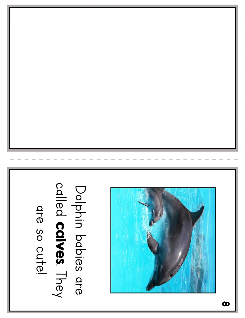 Dolphin reader page 8: a mother and baby dolphin illustrate the sentence 'Dolphin babies are called calves.'