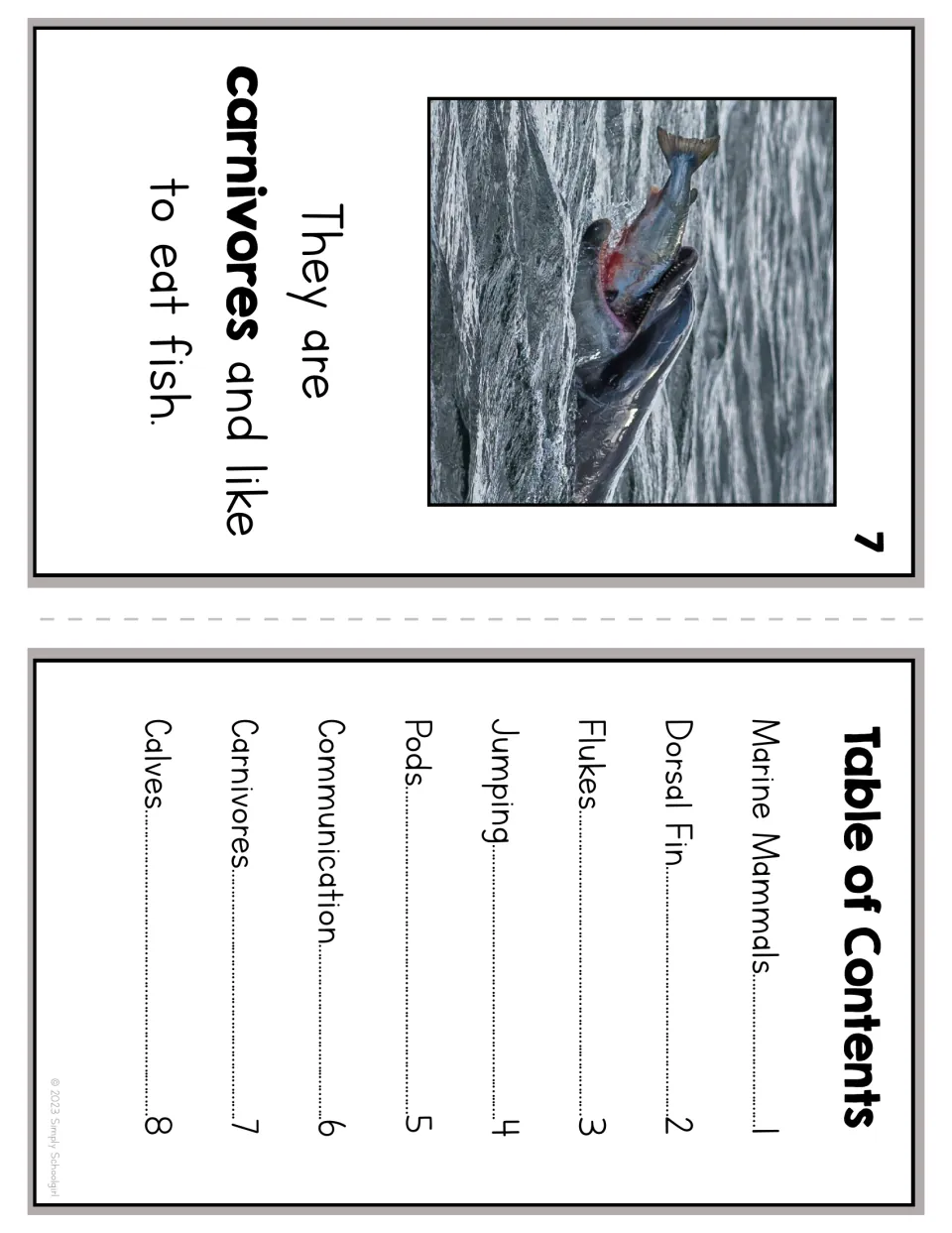 Dolphin reader page 7 explains that dolphins are carnivores and eat fish, paired with the table of contents