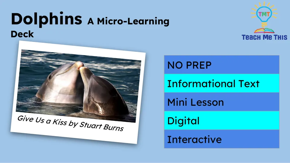 Dolphin lesson cover introduces the micro-learning deck and features two dolphins touching their snouts.