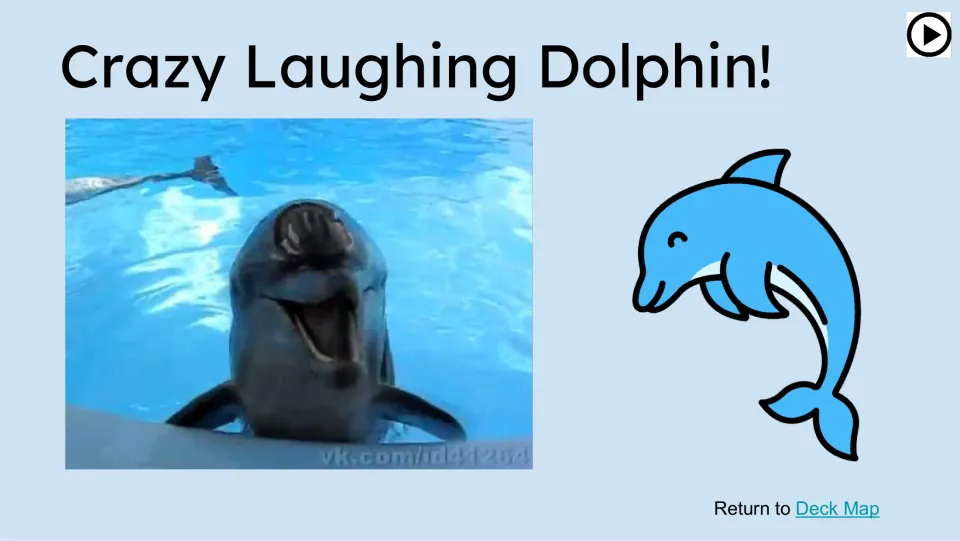 Crazy Laughing Dolphin! lesson slide presents a video preview showing a dolphin with its mouth open.