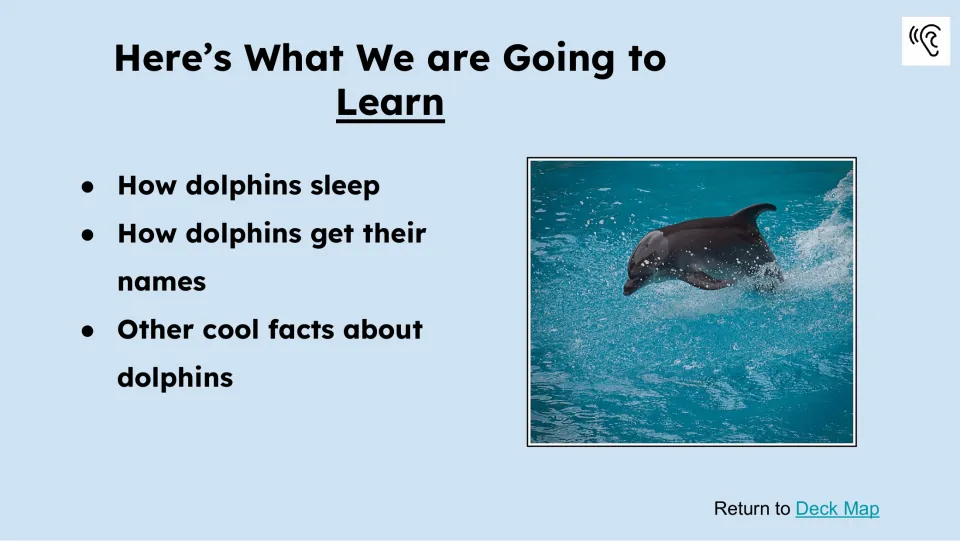 Learning preview names three topics: how dolphins sleep, how dolphins get their names, and other dolphin facts.