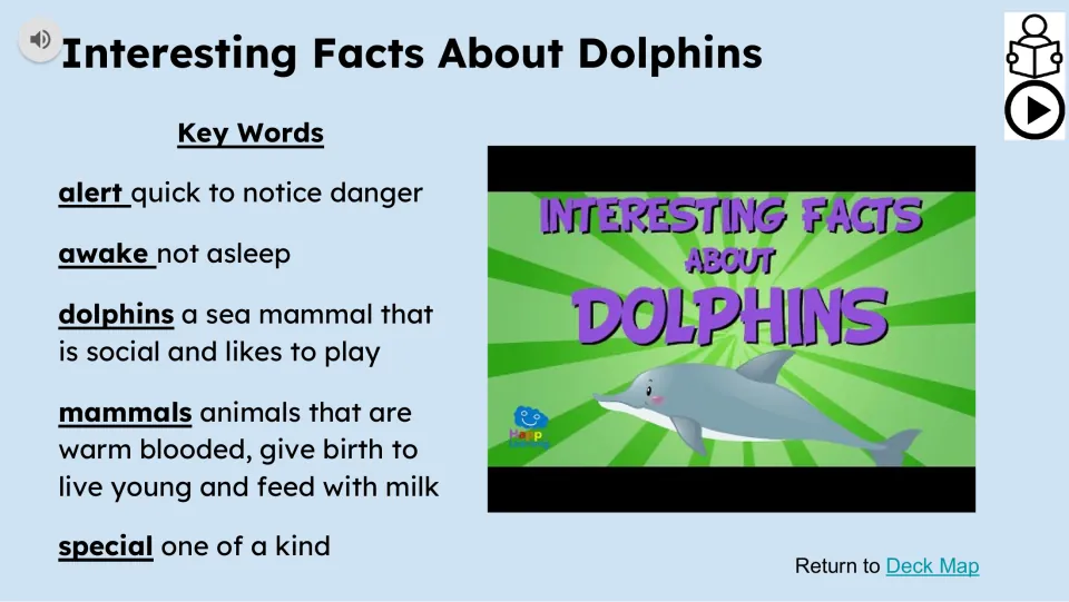 Dolphin vocabulary and video slide defines alert, awake, dolphins, mammals, and special beside a video preview.