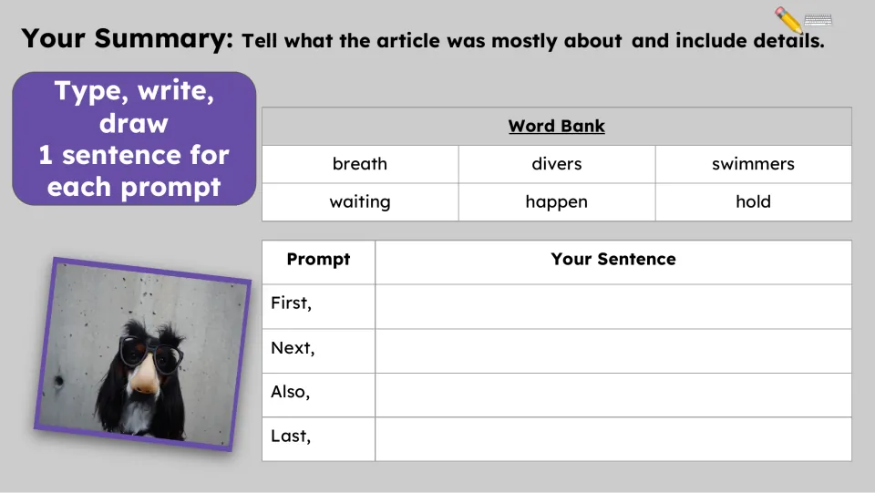 Summary writing asks for one sentence per prompt: First, Next, Also, and Last, supported by a six-word bank