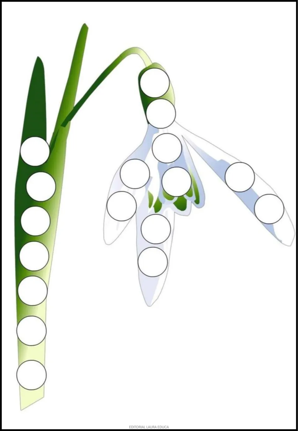 Flower dot-art activity featuring a single drooping snowdrop, with blank circles on its bloom and long leaf
