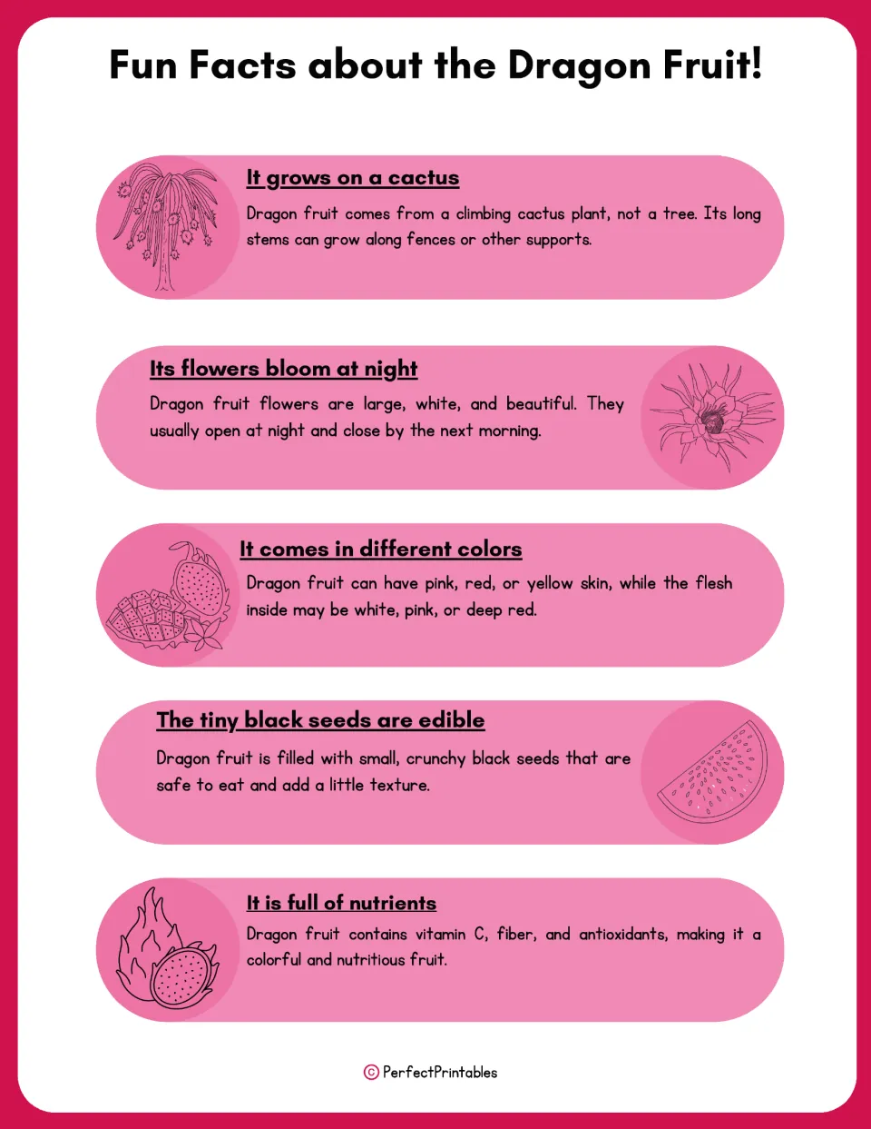 Dragon fruit fact sheet covers cactus growth, night-blooming flowers, fruit colors, edible seeds, and nutrients.