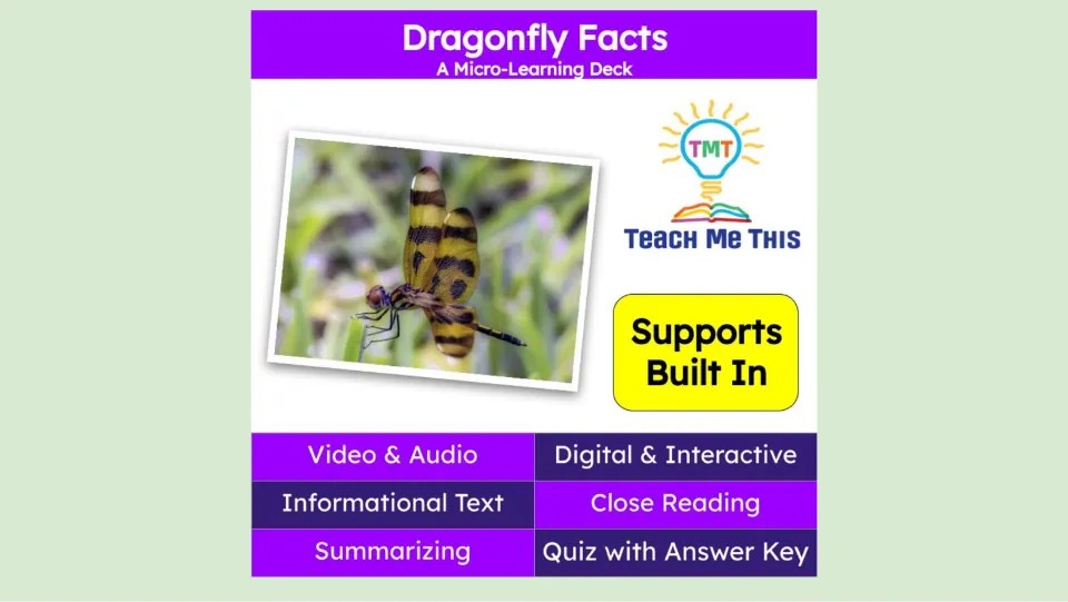 Cover of Dragonfly Facts, a micro-learning deck featuring video, audio, informational text, and a quiz