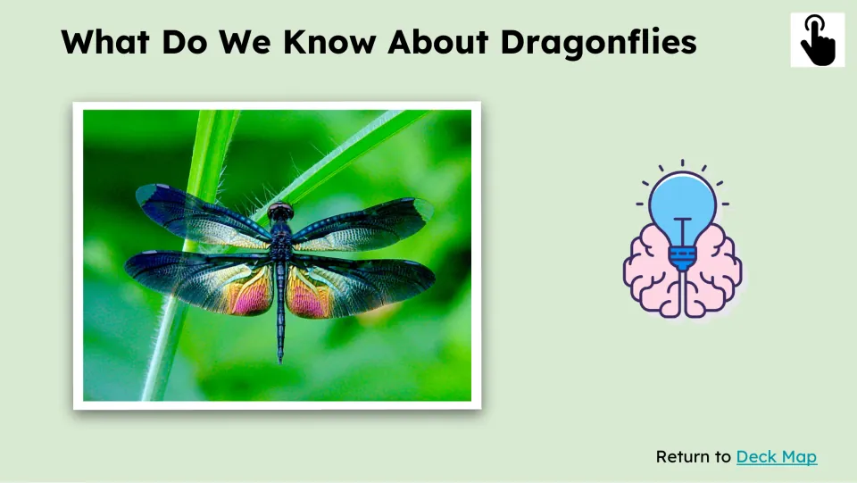Prior-knowledge slide asks what learners know about dragonflies and shows one with four spread wings