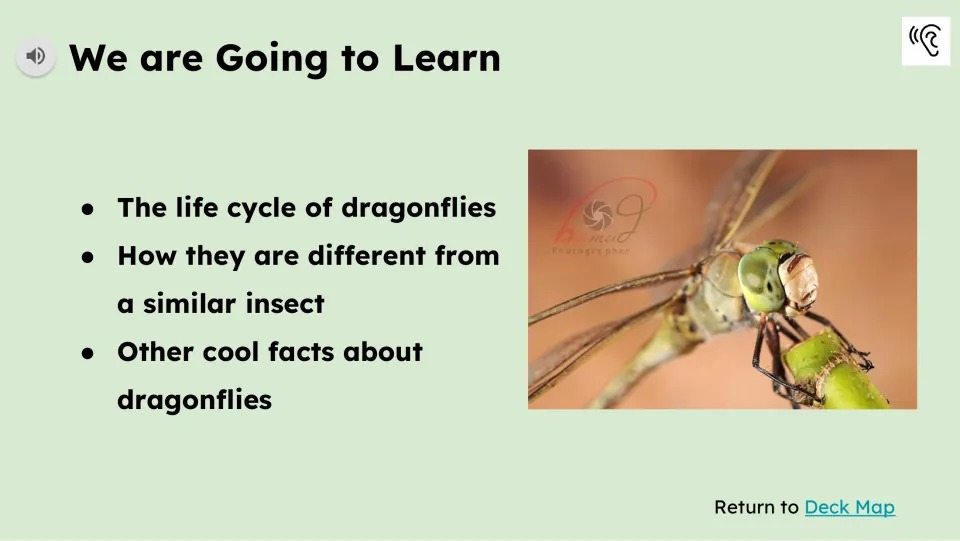 Learning preview introduces dragonfly life cycles, differences from a similar insect, and other facts