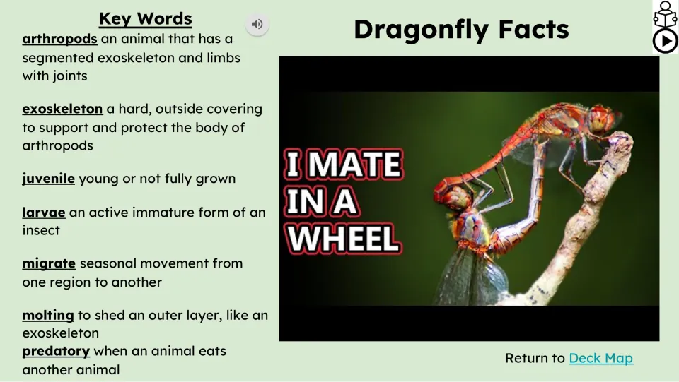 Video lesson slide defines arthropods, exoskeleton, juvenile, larvae, migrate, molting, and predatory