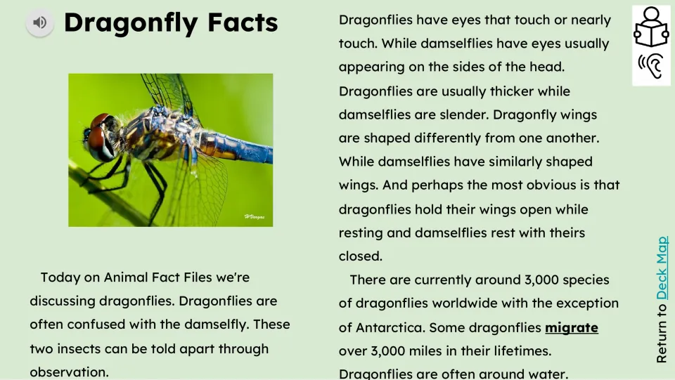 Reading passage compares dragonfly and damselfly eyes, bodies, and wings, then introduces migration