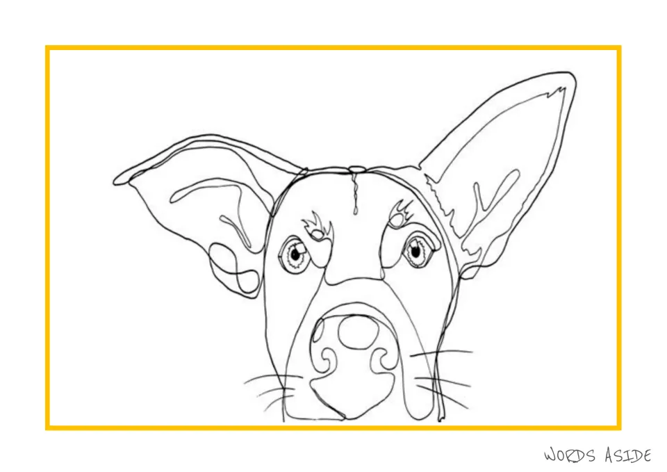 Dog story prompt featuring a black-and-white drawing of a dog's face for drawing, telling, or writing