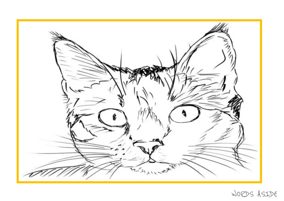 Cat illustration in the story-writing packet: a close-up face with pointed ears, open eyes, and long whiskers