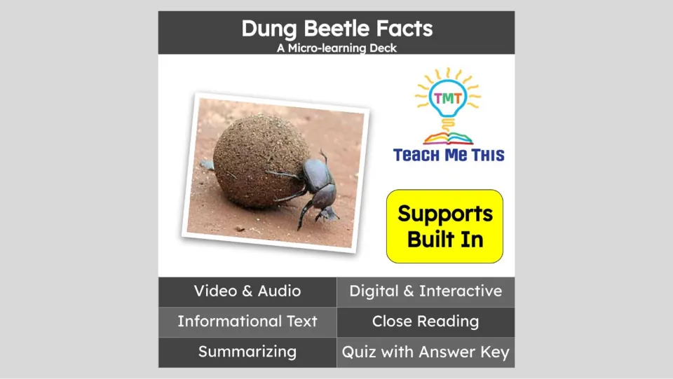 Cover of the dung beetle micro-learning deck listing video, audio, informational text, and a quiz with answers