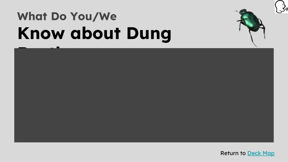 Prior knowledge slide asks what students know about dung beetles; part of the heading is obscured