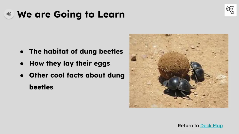 Learning preview names dung beetle habitats, how they lay their eggs, and other facts as lesson topics