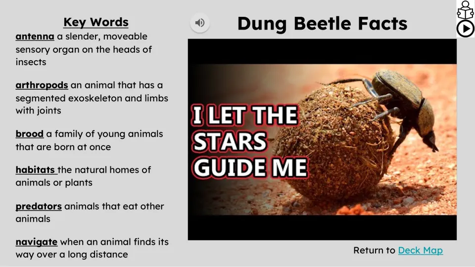 Video lesson slide defines antenna, arthropods, brood, habitats, predators, and navigate as key words