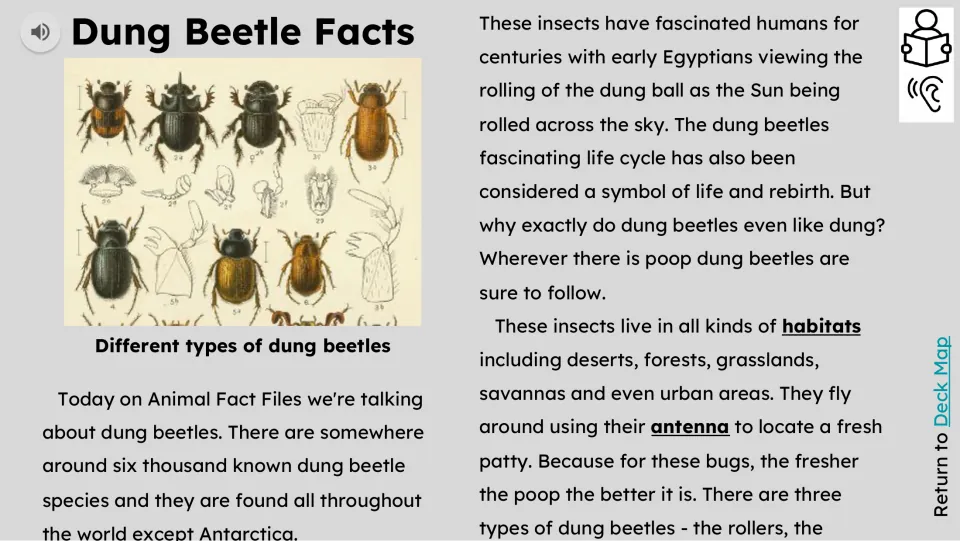 Opening reading passage introduces dung beetle species, Egyptian symbolism, habitats, and finding fresh dung