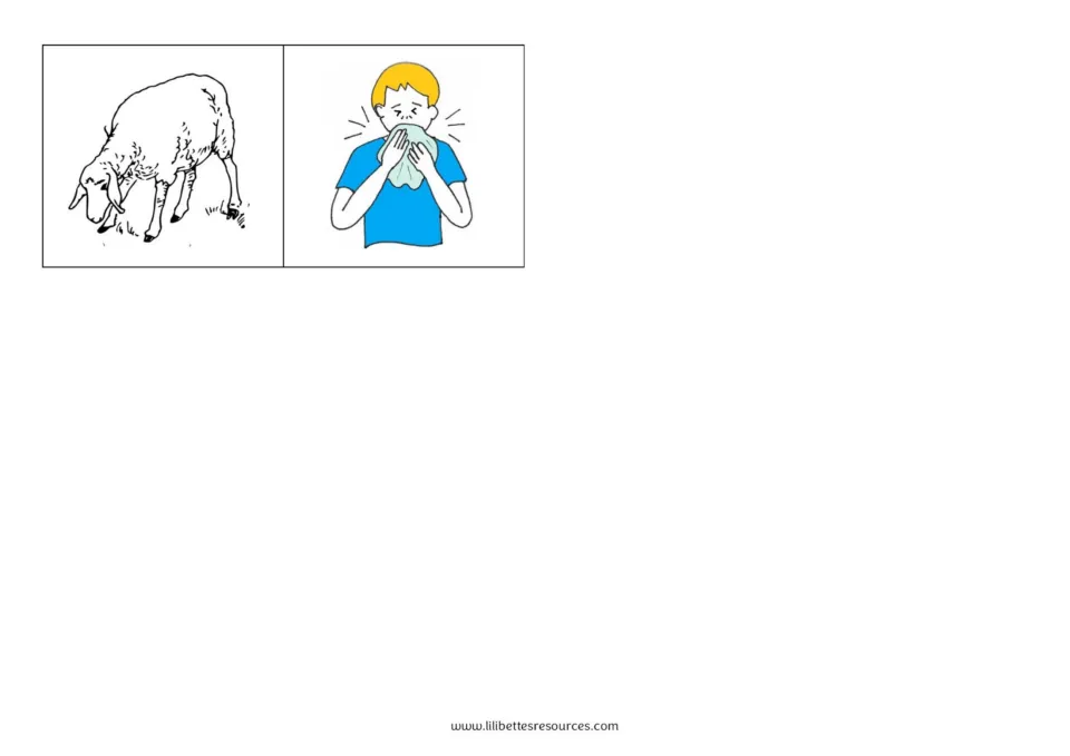 Two more picture cards to cut out, a sheep and a boy sneezing, both words with the long 'ee' vowel sound