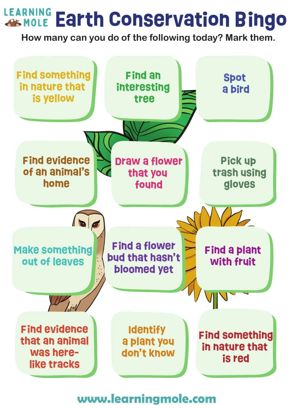 Nature bingo: students mark 12 outdoor tasks done today, like spotting a bird, picking up trash and finding animal tracks