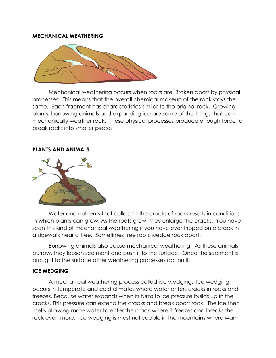 Reading 1 explains mechanical weathering through growing plant roots, burrowing animals, and ice wedging