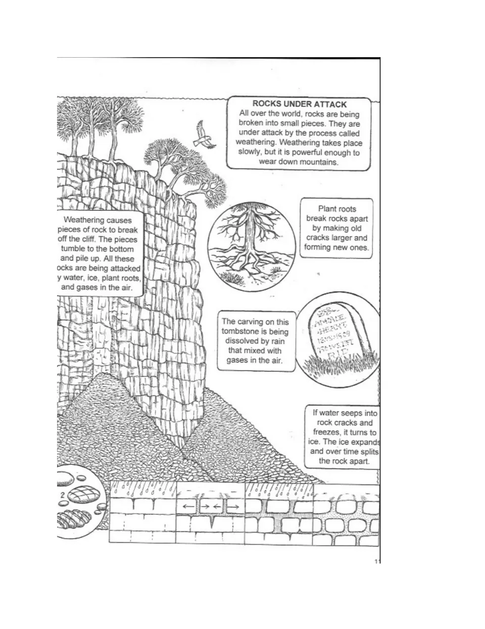 Weathering diagram titled 'Rocks Under Attack' shows root action, rain dissolving stone, and freezing water