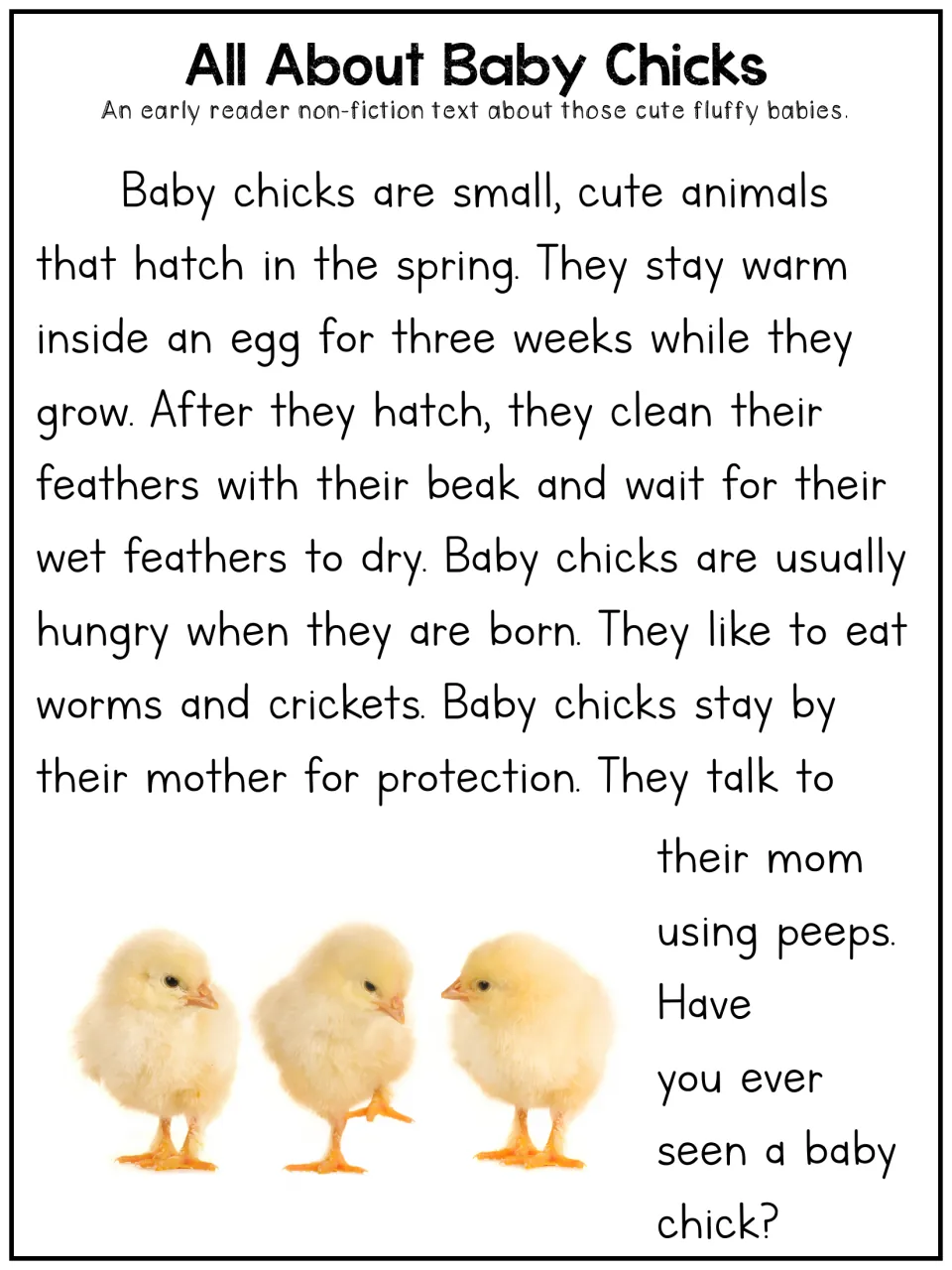 All About Baby Chicks, early reader text: students read how chicks hatch, what they eat and how they talk to their mother