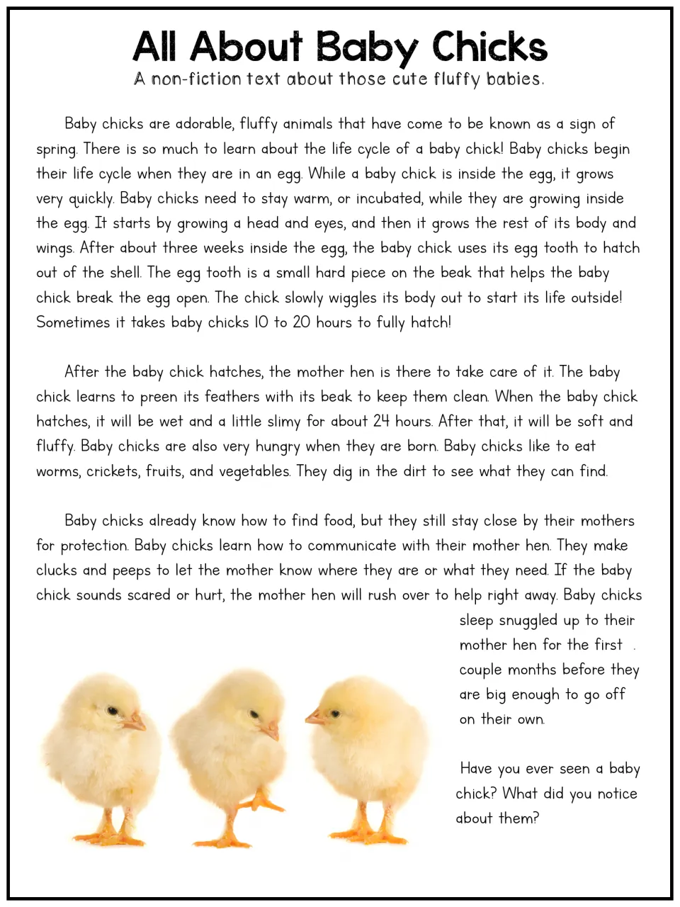 All About Baby Chicks, longer text on the chick life cycle: growing in the egg, the egg tooth, hatching, food and the hen