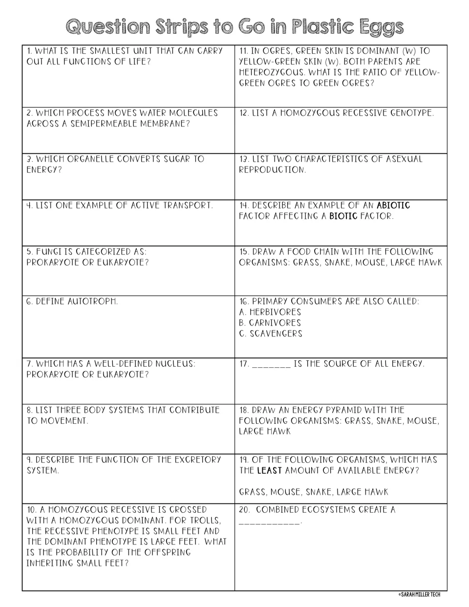 Egg-hunt question strips 1–20 review cells, transport, body systems, genetics, food chains and energy