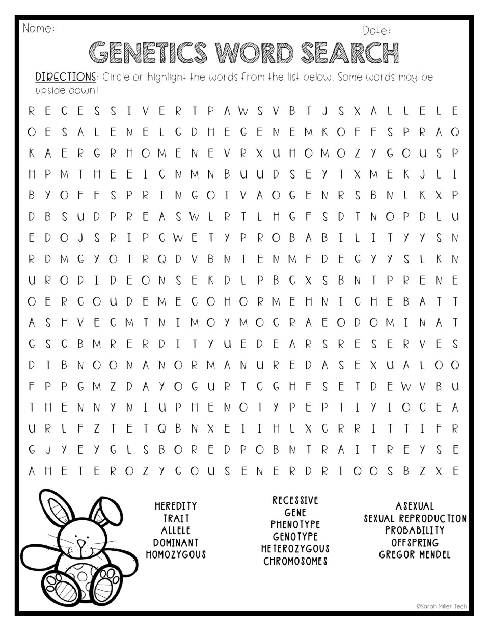 Genetics word search asks students to find terms including heredity, allele, phenotype and Gregor Mendel