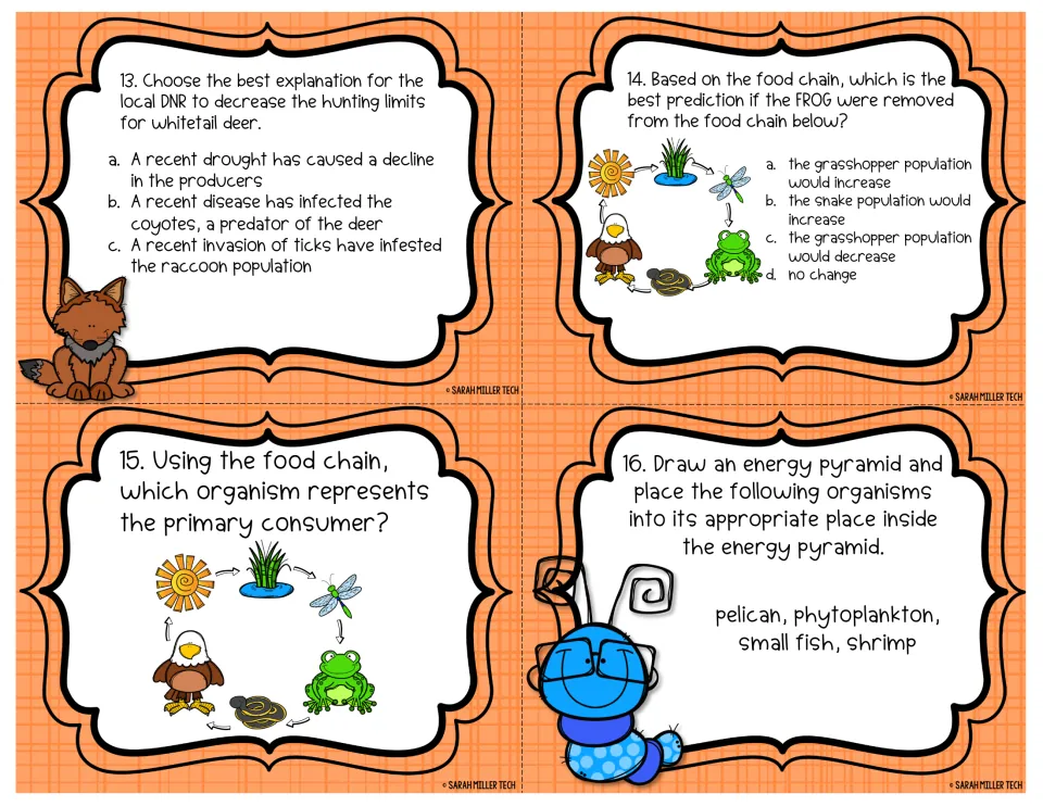 Food chain cards 13-16: deer hunting limits, removing the frog, finding the primary consumer and drawing an energy pyramid