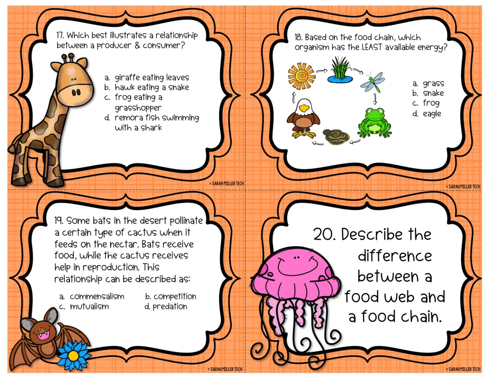 Task cards 17-20 on producer-consumer pairs, least available energy, bat-cactus mutualism and food web vs. food chain