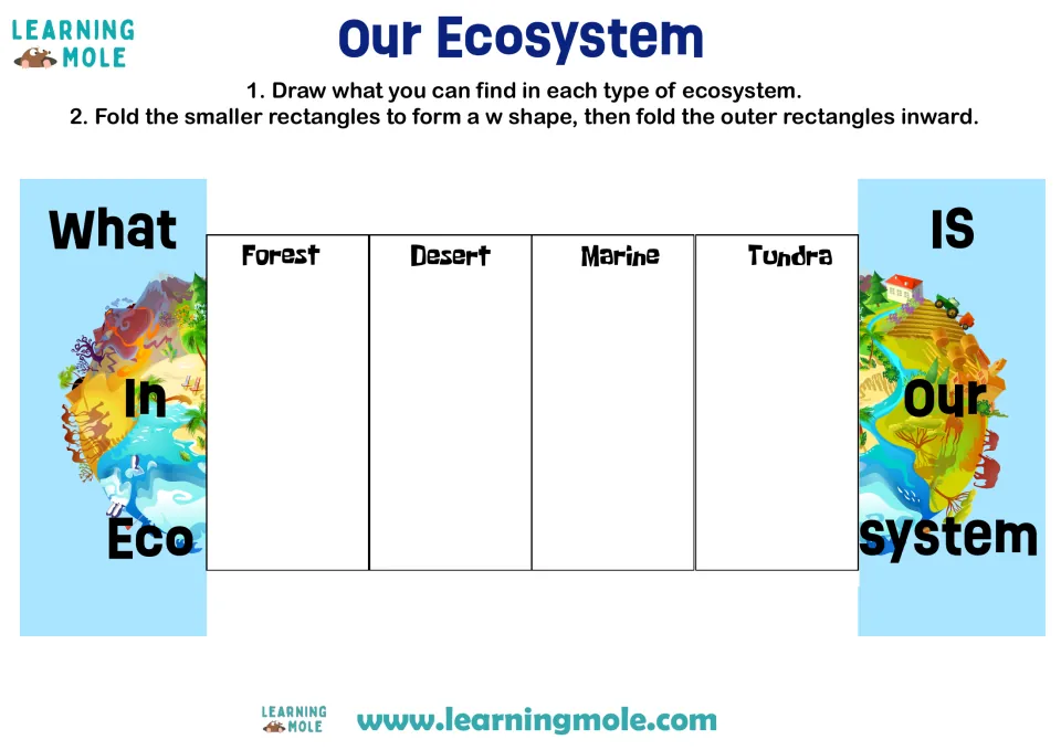 Our Ecosystem foldable: students draw what lives in forest, desert, marine and tundra ecosystems, then fold it shut