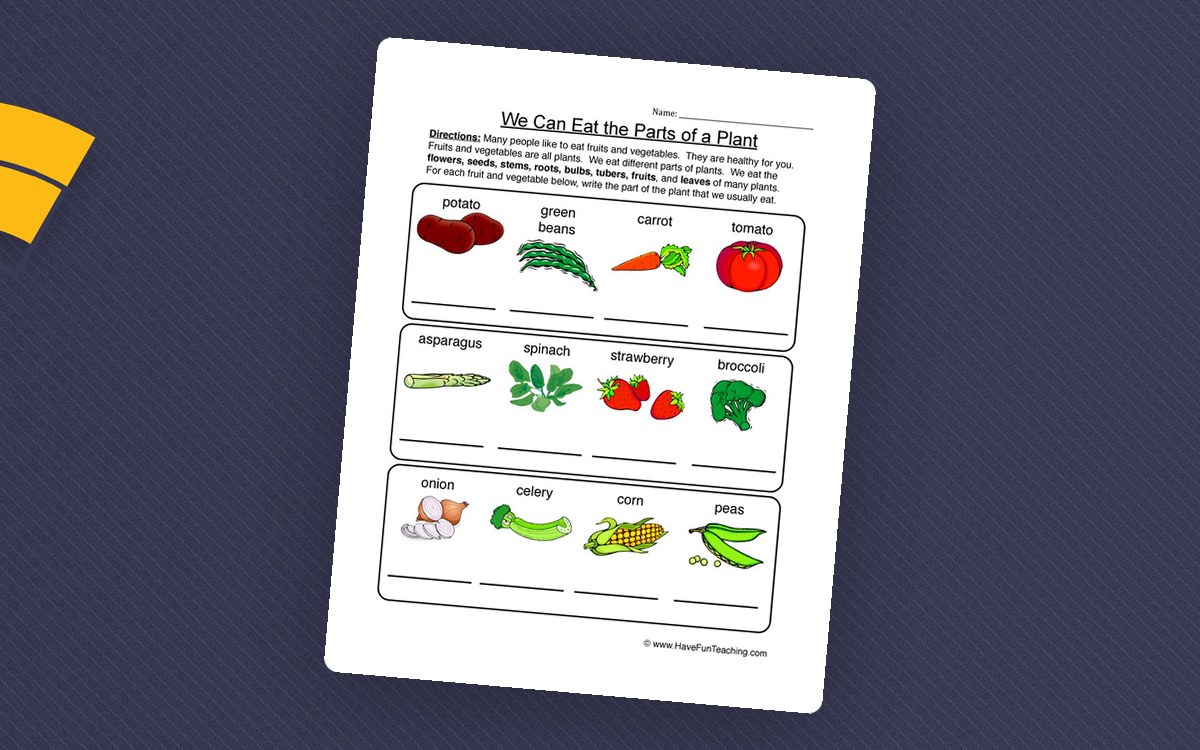 Edible Parts of a Plant Worksheet preview: Overview of edible plant structures