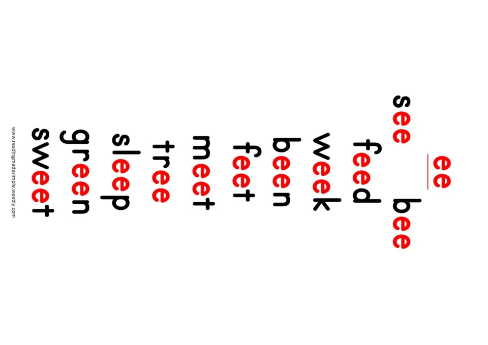 EE practice word list: see, bee, feed, week, been, feet, meet, tree, sleep, green, sweet, with ee in red