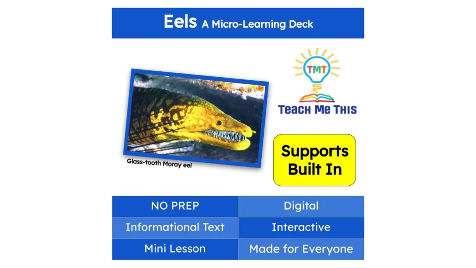 Cover of Eels, A Micro-Learning Deck, featuring a glass-tooth moray eel and labels for digital learning
