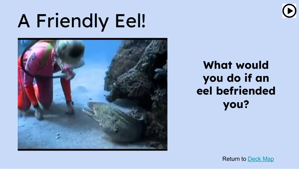 Opening prompt asks, 'What would you do if an eel befriended you?' beside a diver and eel video still