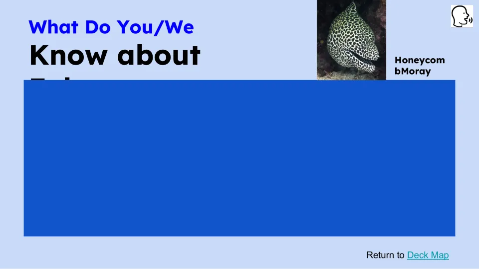Prior-knowledge slide shows 'What Do You/We Know about' and a honeycomb moray; lower text is obscured