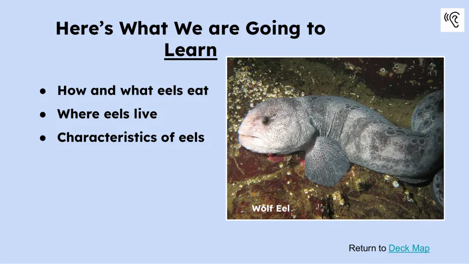 Learning goals cover how and what eels eat, where eels live, and eel characteristics beside a wolf eel