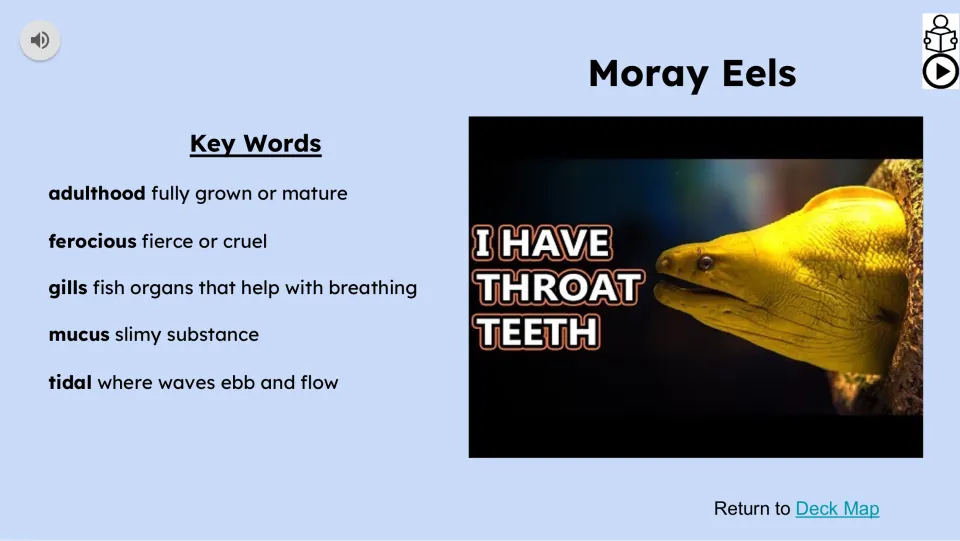Vocabulary and video slide defines adulthood, ferocious, gills, mucus, and tidal alongside Moray Eels
