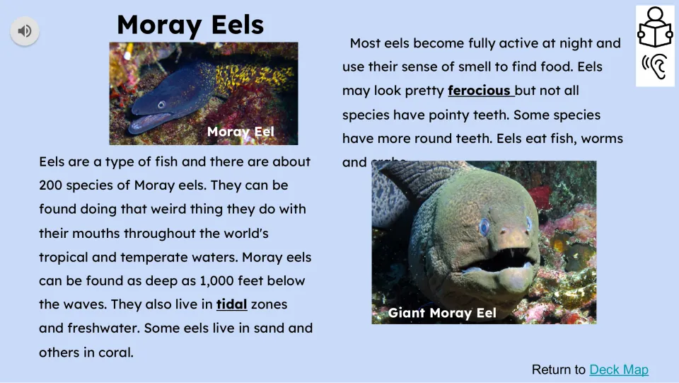 Moray eel reading passage introduces species, habitats, nighttime activity, smell, teeth, and diet