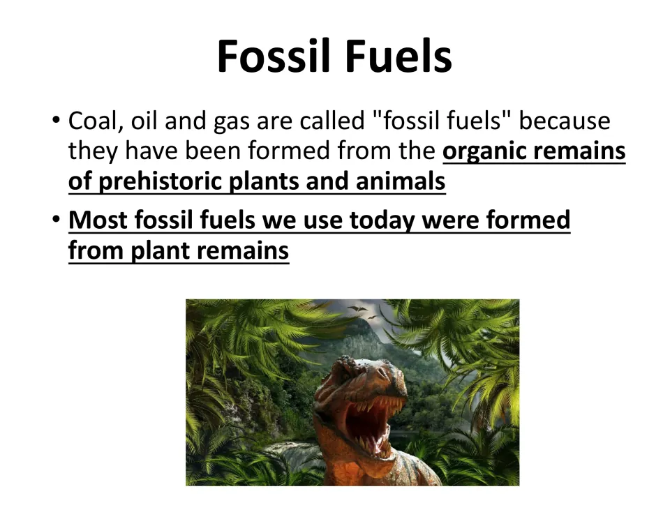 Fossil fuels slide explains their origin in prehistoric organic remains and emphasizes the role of plant remains