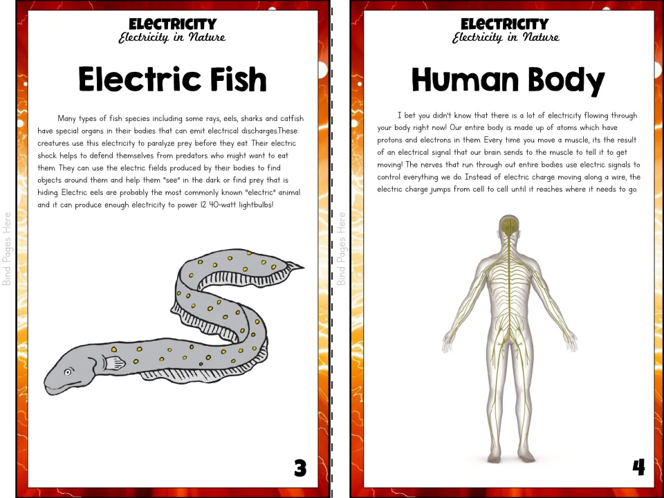 Color booklet pages 3–4 discuss electric fish and electrical signals in the human body, with illustrations