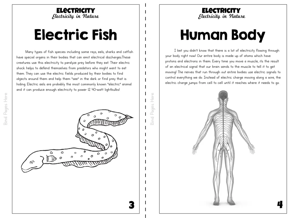 Black-and-white booklet pages 3–4 explain electricity in fish and human nerves, with an eel and body diagram