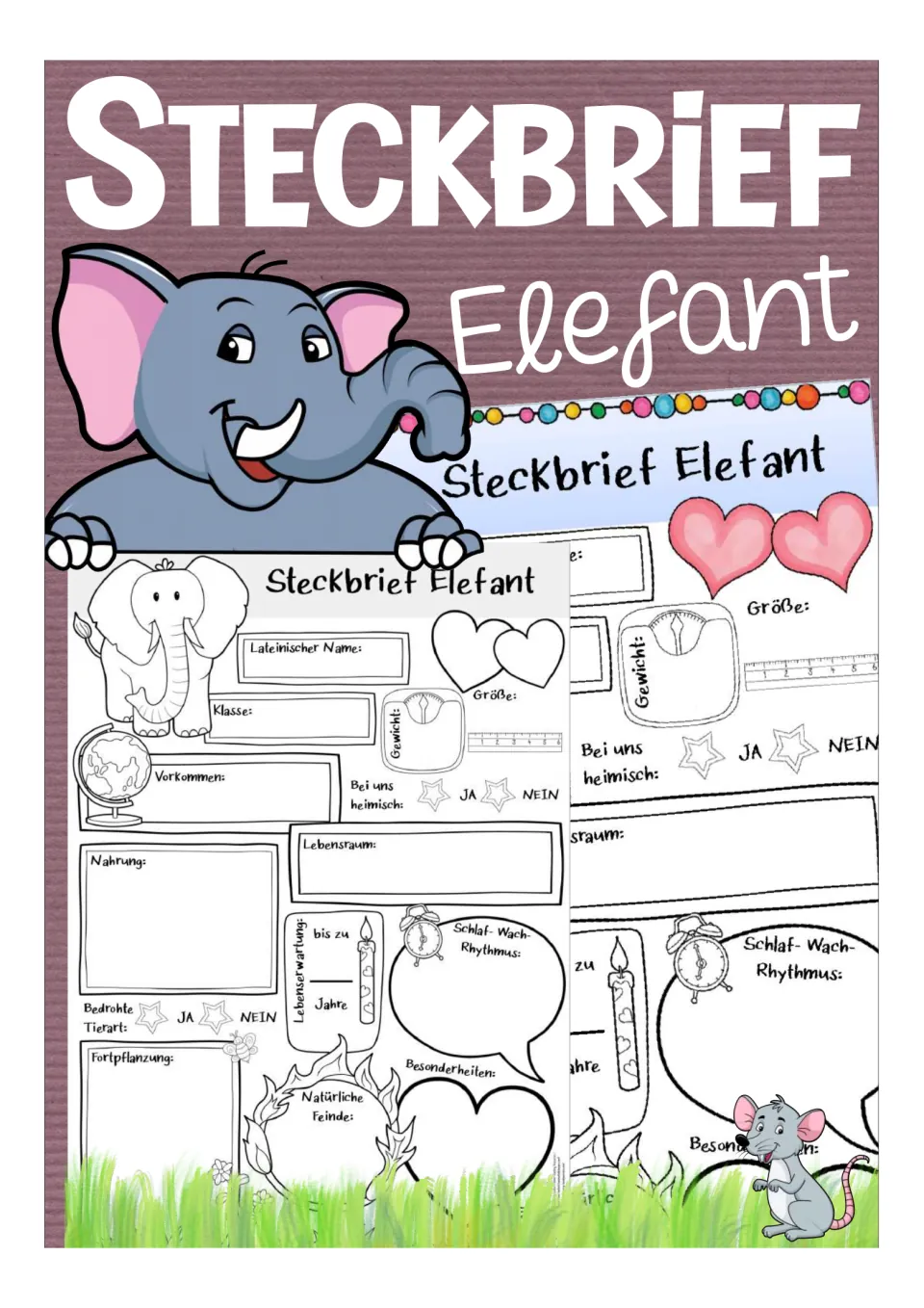 Cover of the German elephant fact-file resource, titled 'Steckbrief Elefant' (elephant profile)