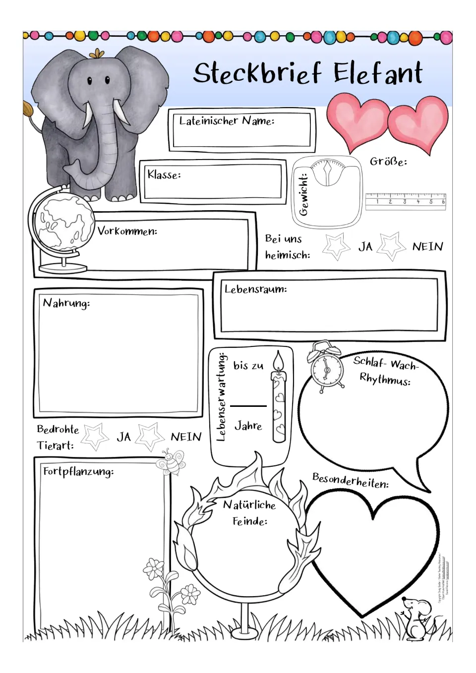 Color version of the German elephant profile worksheet: scientific name, class, habitat, diet, and more