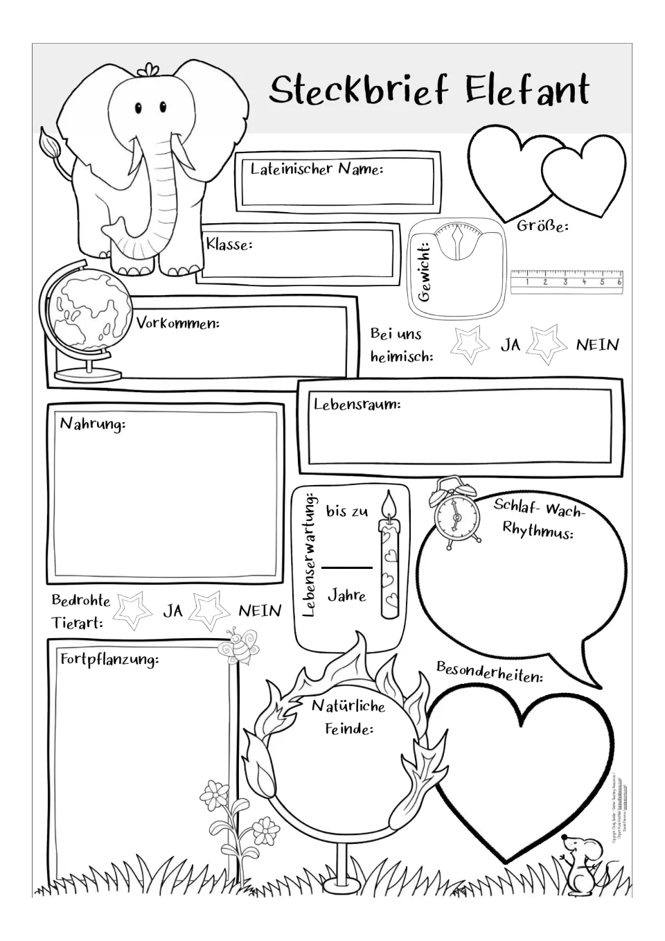 Black-and-white German elephant profile worksheet: weight, size, lifespan, reproduction, and more