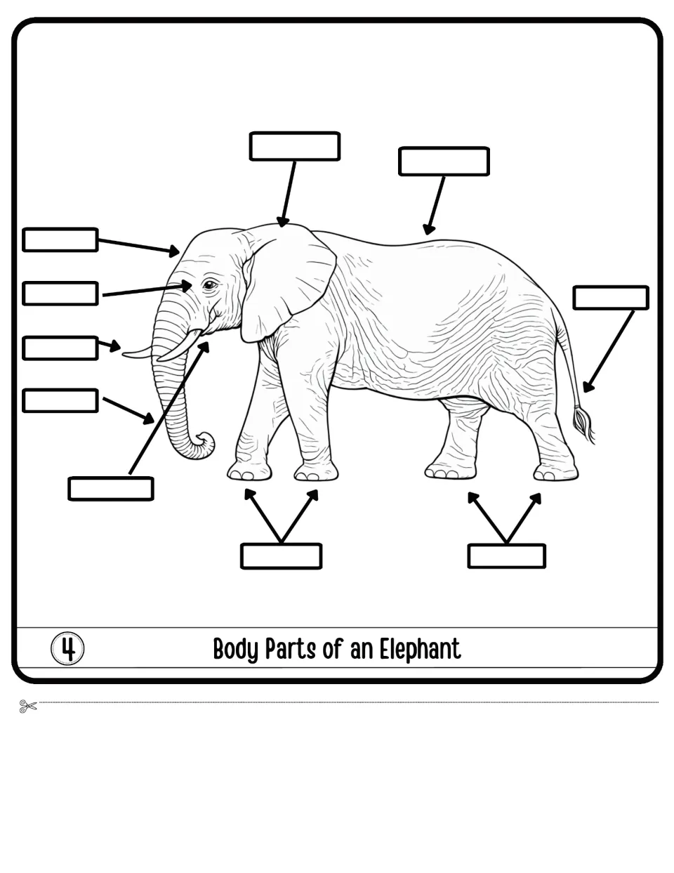 Body Parts of an Elephant flap 4: students fill in 10 blank labels naming parts of a detailed elephant drawing