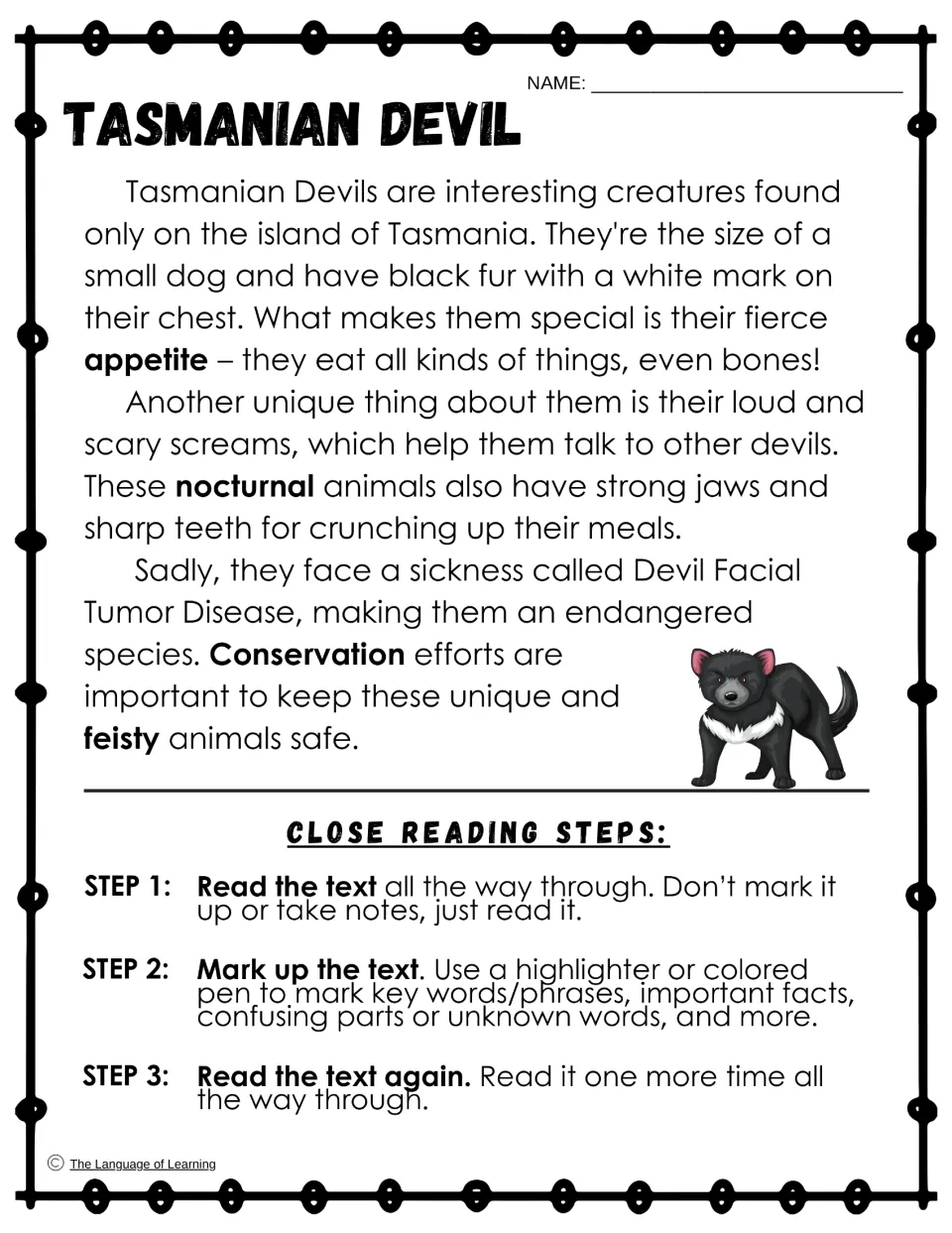 Tasmanian Devil nonfiction passage with three close reading steps: read it, mark up key words and facts, then read again
