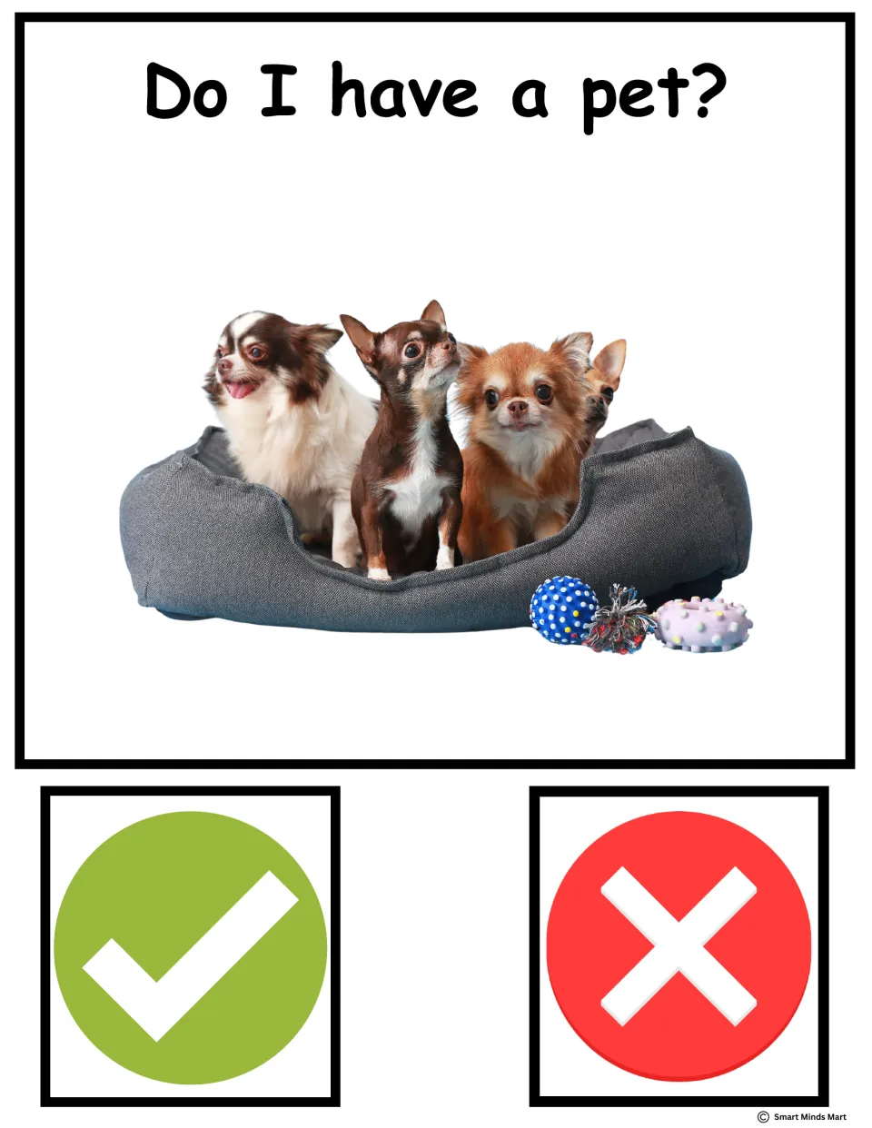 Do I have a pet? Guess card: students vote yes with the green check or no with the red X, shown with chihuahuas in a bed