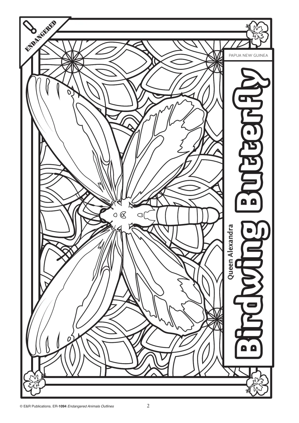 Animal coloring outline 2: Queen Alexandra's birdwing butterfly with spread wings, labeled Papua New Guinea